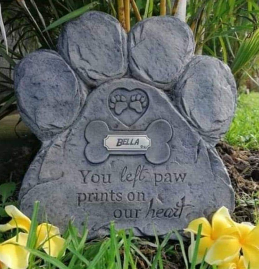 A generic image