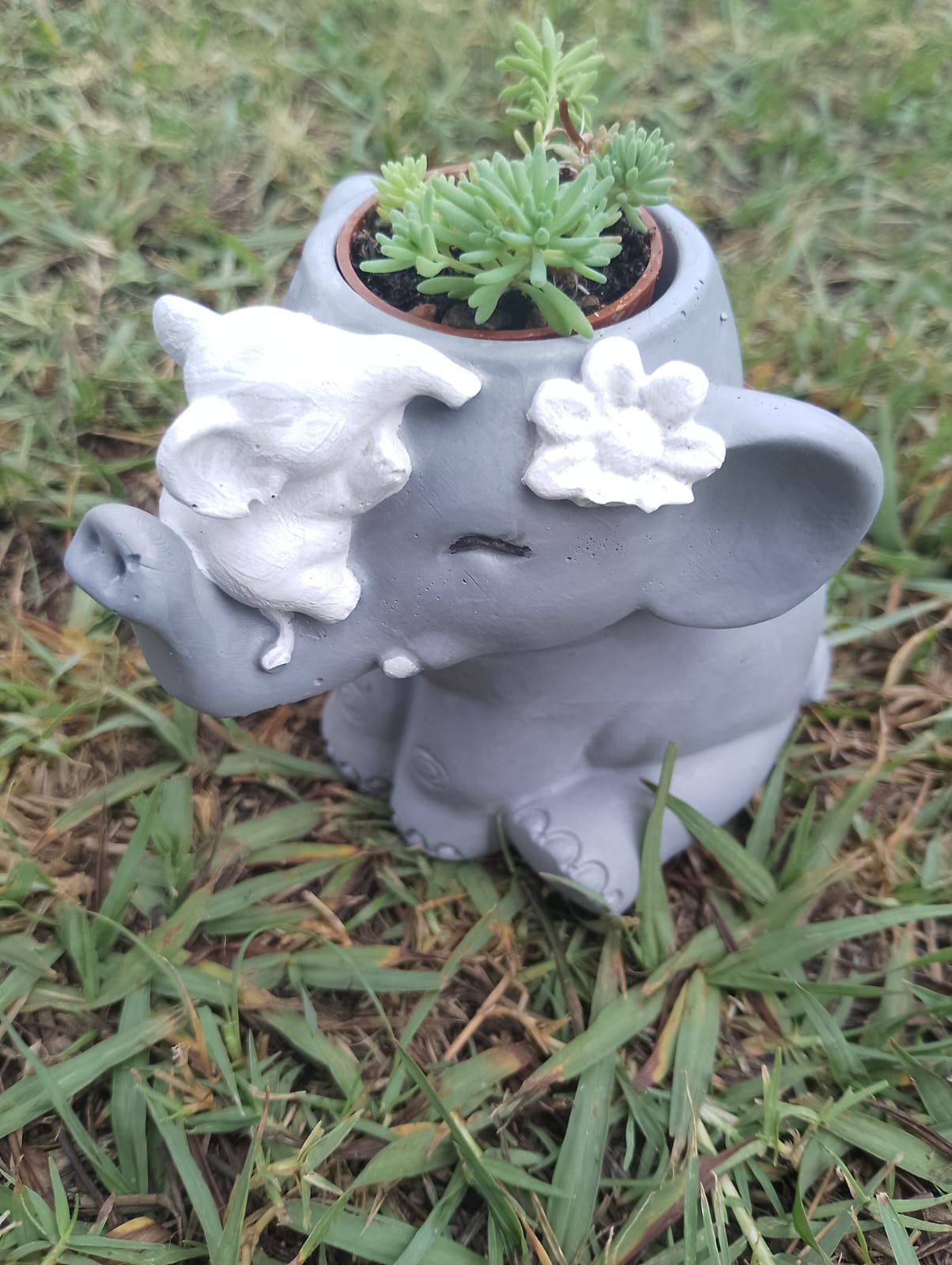 (image for) Elephant Succulents Planter