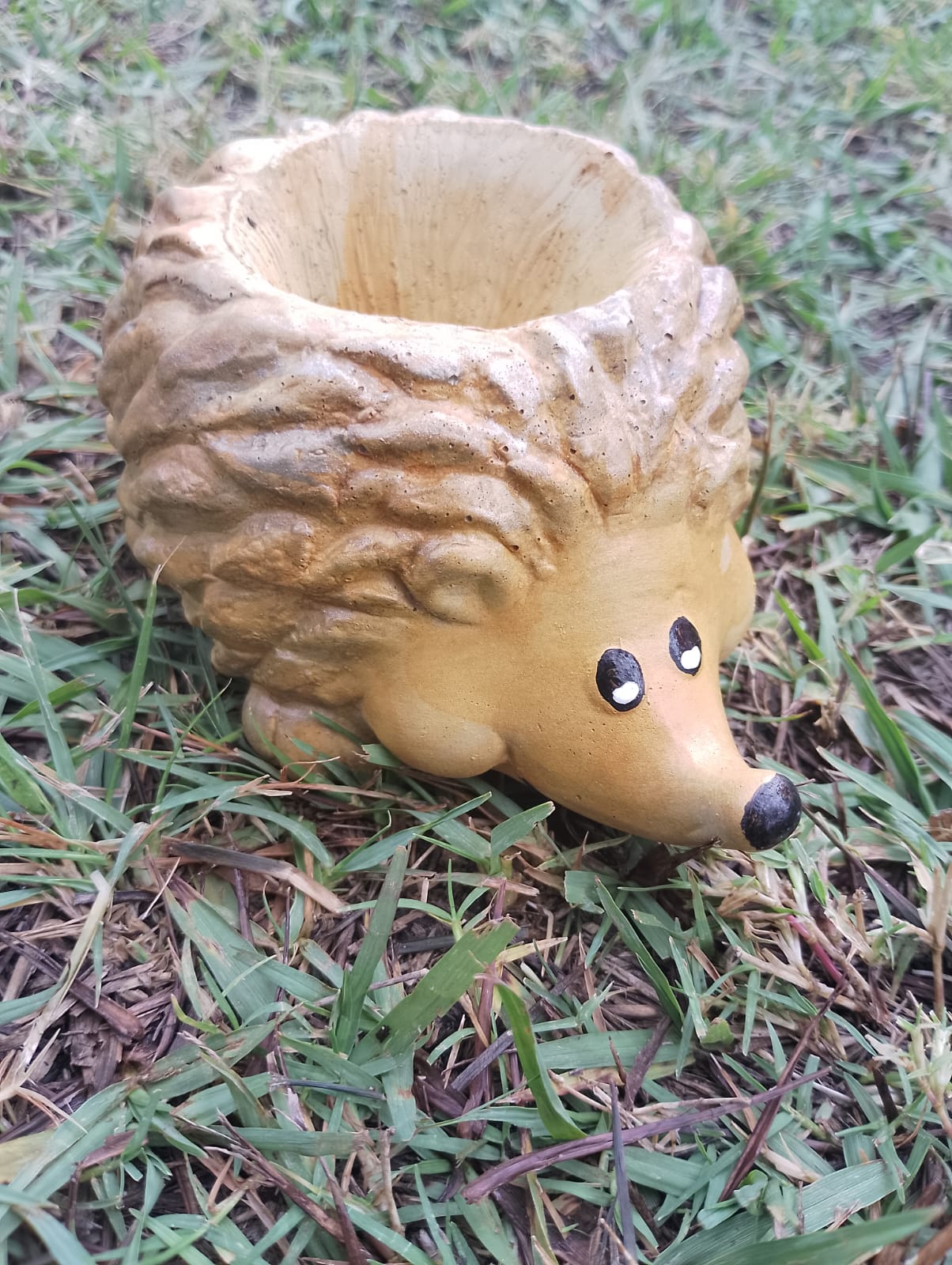 (image for) Hedgehog Succulents Planter