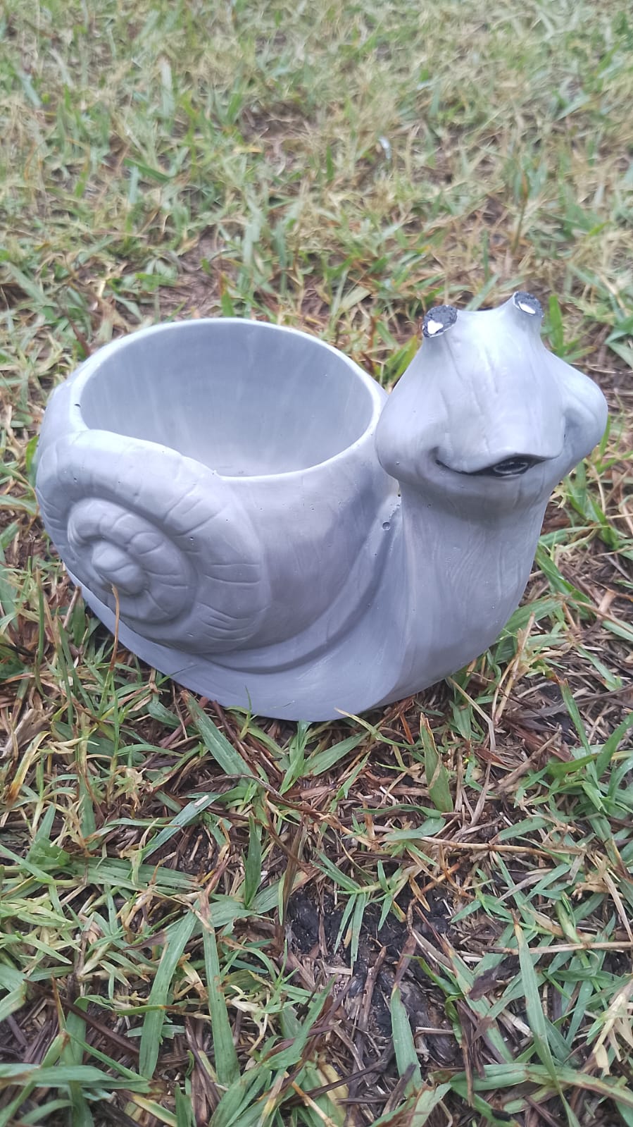 (image for) Snail Succulents Planter