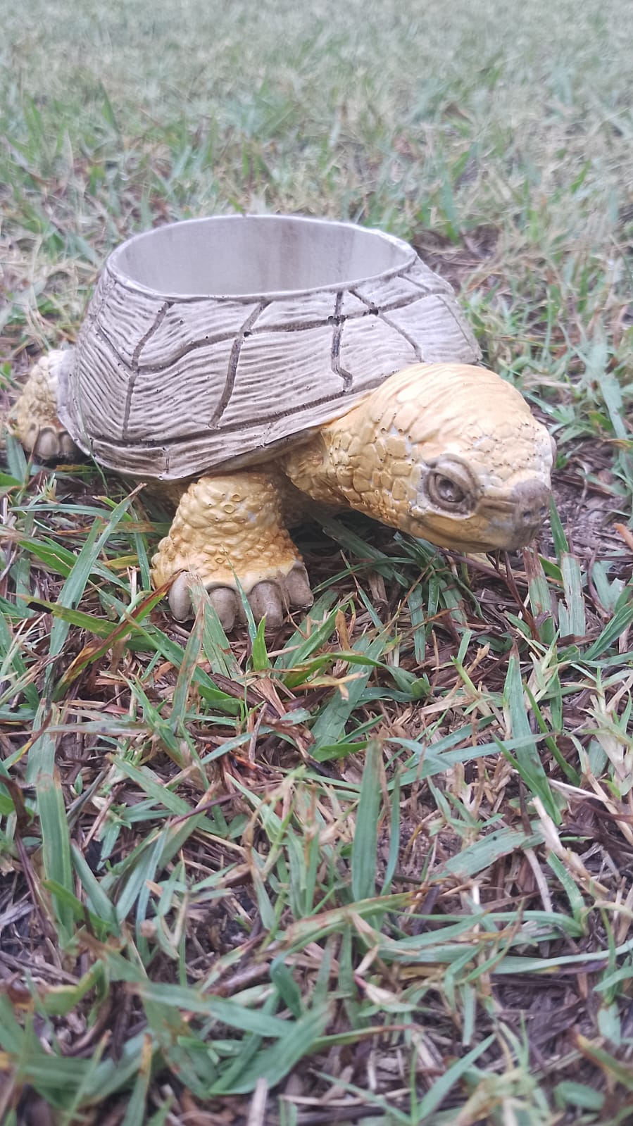(image for) Tortoise Succulents Planter